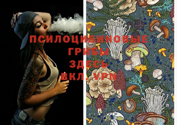 MDMA Premium VHQ Покачи