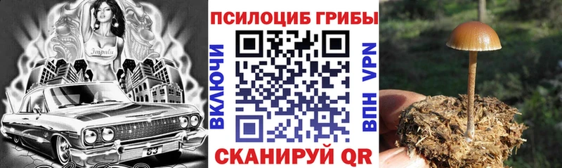 Купить где Красноярск Галлюциногенные грибы GOLDEN TEACHER